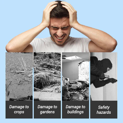 Солнечная сигнализация с датчиком движения